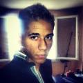 Avis